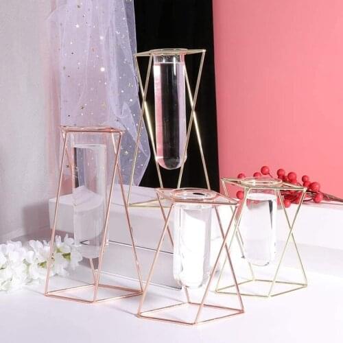 Glass Flower Vase with Metal Stand Modern Geometry Desktop Glass Planter Indoor Hydroponics Plants
