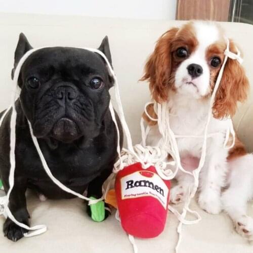 Noodle Shape Dogs Snuffle Toys Pet Dog Sniffing Puzzle Toys Cat Leaking Food Toy Puppy Dog Nosework Training Slow Feeder