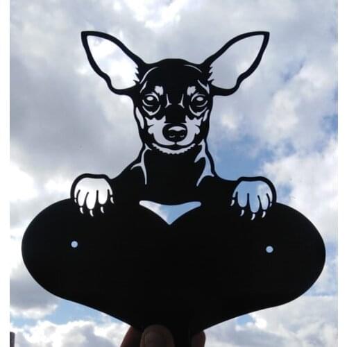 Ptira Collars, Harnesses And Leashes