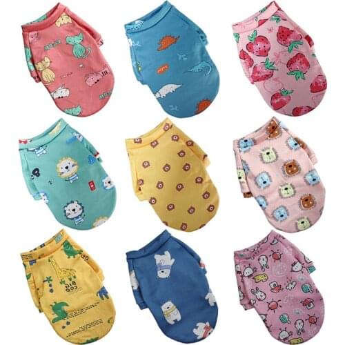 Dog Hoodie Autumn and Winter Cartoon Print Sweater Small Pet Two-legged Clothes Soft and Velvet Dog Clothes for Small Dogs