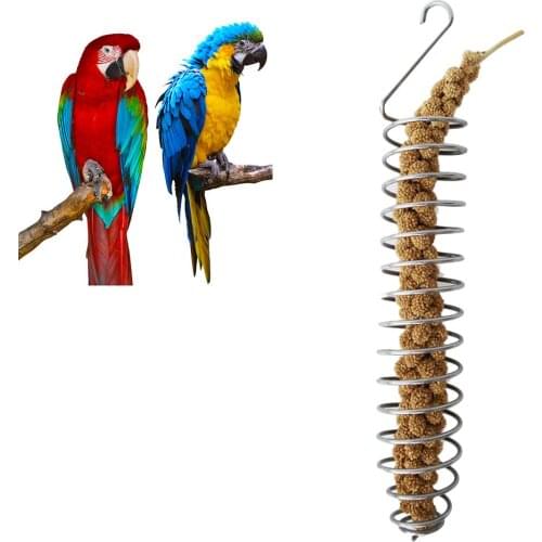 Stainless Steel Bird Feeder Fruit And Vegetable Basket Bird Toy Home Bird Cage Feeding Supplies