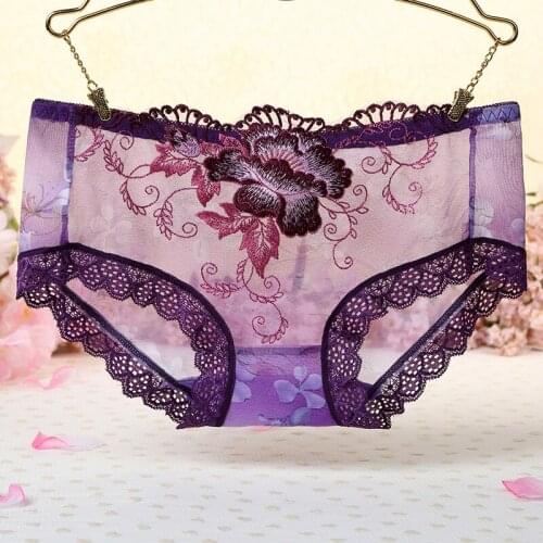 Womens Transparent Ultra-Thin Briefs Ladies Embroidery Panties Sexy Lace Through Low-Rise Mesh Underwear Female Lingerie