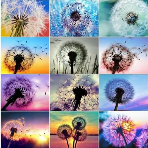 Dandelion Diamond Mosaic Full Drill Diamond Painting Cross Stitch Scenery Diamond Embroidery Picture of Rhinestones Home Decor