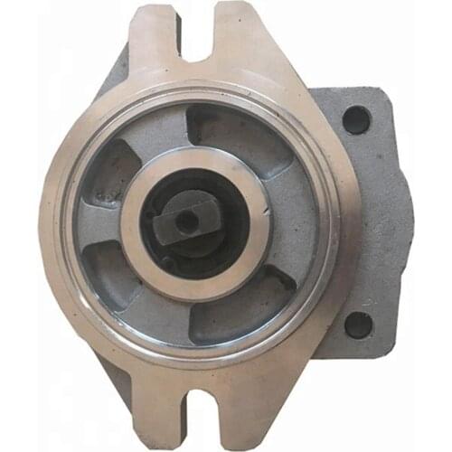 Oil Charge Pumps of SBS10 Small Gear Pumps for Repairing the CAT 320 Excavator Hydraulic Parts