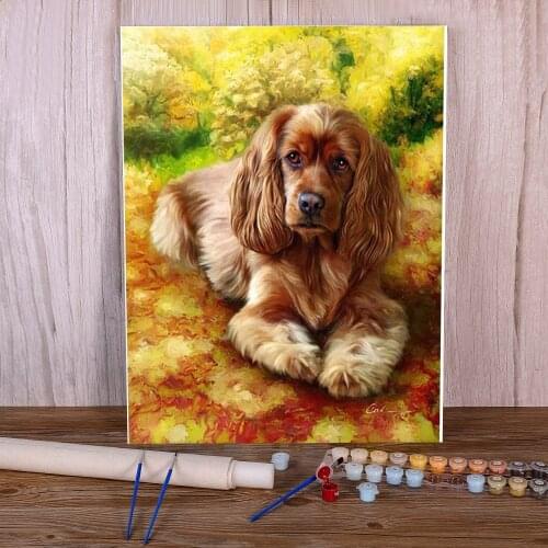 Animal Golden Retriever Coloring By Numbers Painting Set Acrylic Paints 50*70 Boards By Numbers New Design For Handicraft