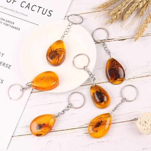 Charm Natural Amber+ Key chain Resin Insect Specimen Scorpion Butterfly beetle spider Key ring Jewelry Gifts for Women Men