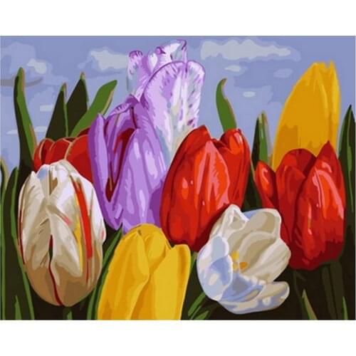 Frameless diy picture oil painting by numbers wall decor diy painting on canvas for home decor 4050cm tulip