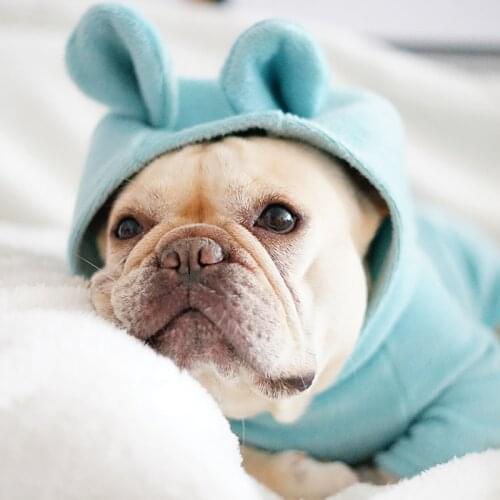 [MPK Store] NMF Series Bear Ears Dog Hoodies, Cat Clothes, Dog and Cat Sweater French Bulldog Clothes, Pet Hoodies 7 Sizes