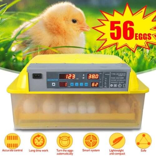 Farm Hatchery Incubator Automatic Chicken Egg Incubator Hatchery Equipment 56 Eggs Incubator Machine Chicken Duck Bird Brooder
