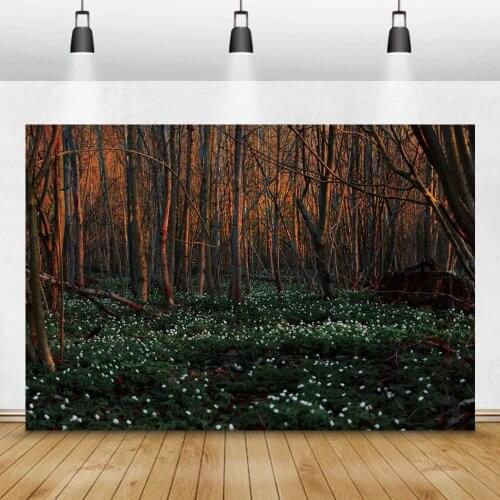 Laeacco Baby Newborn Portrait Photography Backgrounds Autumn Scenery Forest Trees Grassland Children Birthday Backdrops Studio