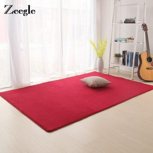 Zeegle Coral Fleece Solid Carpet For Living Room Home Large Size Rugs Anti-slip Child Room Rug Kids Bedroom Carpets Floor Mats