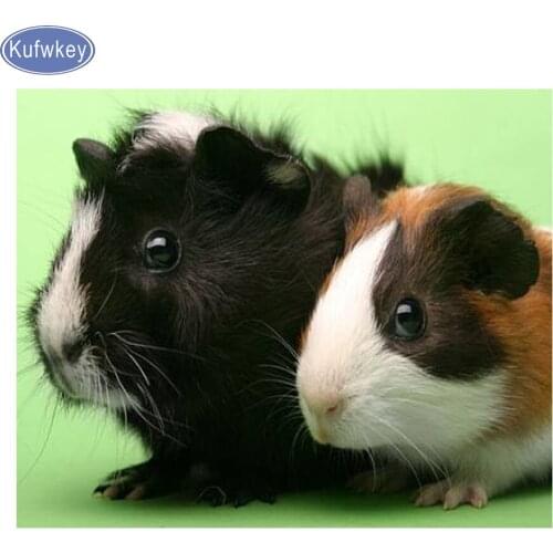 Kufwkey chinchilla diamond Embroidery,Diamond Painting square/round,mosaic Rhinestones painting cute pet animals,3d Cross-Stitch