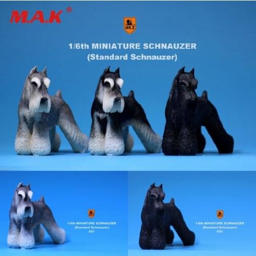 1:6 Scale Figure Scenes Accessory MR.Z Resin Miniature Standard Schnauzer Dog MRZ019 fit 12" Action Figure Toys Accessories