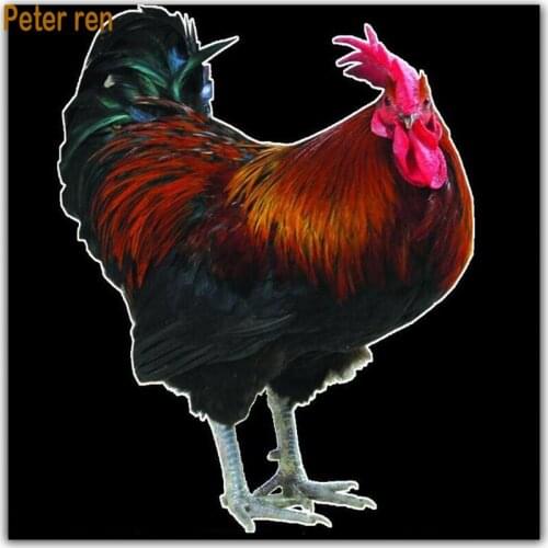 Diy Diamond painting Animal full square Diamond embroidery big cock 3d Diamond mosaic needlework kits for embroidery paintings