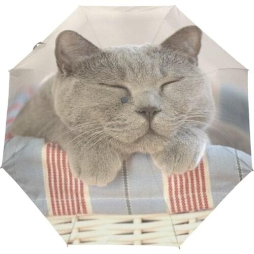 British Shorthair Cat Printed Automatic Umbrella three Folding Classic Anti-uv Sun/Rain Durable Automatic Umbrella 2018