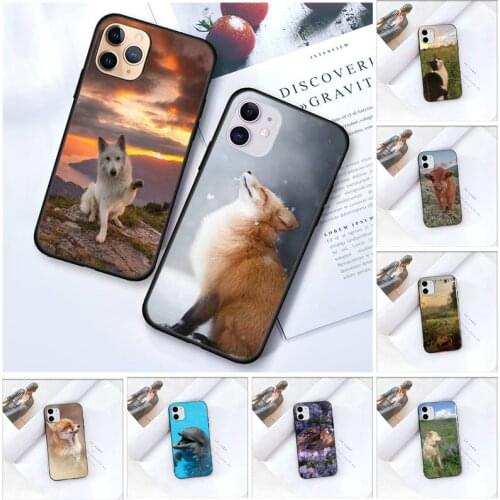 Zororong Cute animals Phone Case For iPhone 12 Mini 11 Pro XS Max X XR 7 8 Plus