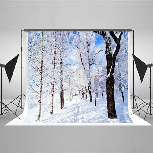 VinylBDS Winter Frozen Photography Backdrops Trees Snowflake Scenic Studio Photography Microfiber Backdrop Children Background