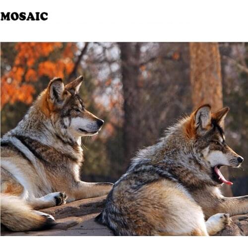 Full diamond Painting Square Home Decor 5D DIY Diamond Painting animal wolf Cross Stitch Pattern Diamond Embroidery E05