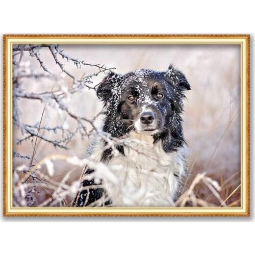 Animal Border Collie DIY 11CT Embroidery Cross Stitch Kits Needlework Craft Set Cotton Thread Printed Canvas Home Decoration Hot