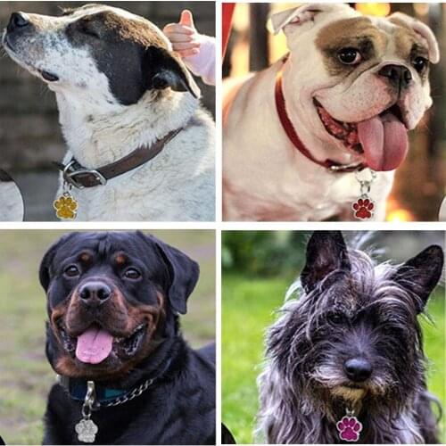 2PCS Dog ID Tag Cute Paw Four-leaf Clover Pet Pendant Decor Lovely Glitter Pet Cat Collar Accessory Charm Puppy Necklace Pendant