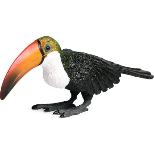Toucan Animal Figure Collectible Toys Birds Animal Cognition Action Figures Kids Plastic Cement Toys