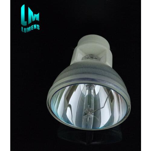 LUMENS&OEM Compatible Bare Bulb BL-FP240C BLFP240C SP.8TU01GC01 for OPTOMA W306ST X306ST Projector Lamp Bulb