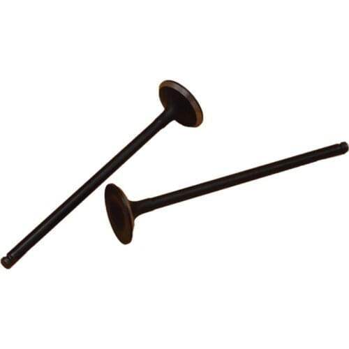 Engine Intake Valve Set for BYD F0 F3 G3 L3 F6 S6 M6 G6 G5 S7 Car Assecoires