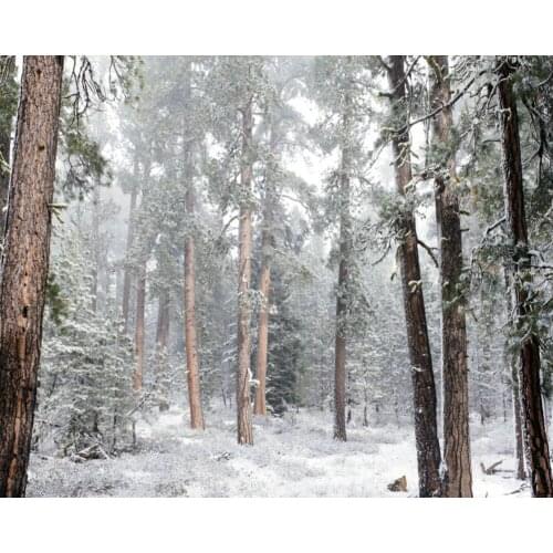 Winter Pine Forest with Snowflakes Backdrop Baby Shower Party Birthday Room Decor Photo Booth Studio Prop