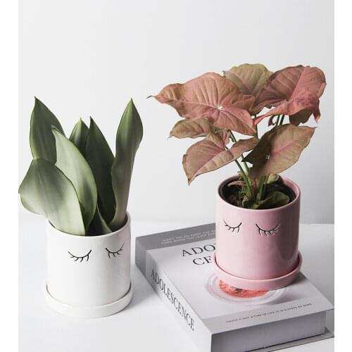 Nordic ins eyes ceramic flowerpot eyelashes cute indoor succulent planting cactus potted desktop decoration home decoration