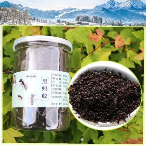 High Quality 100% Pure Wild Black Ants, Hei Ma Yi