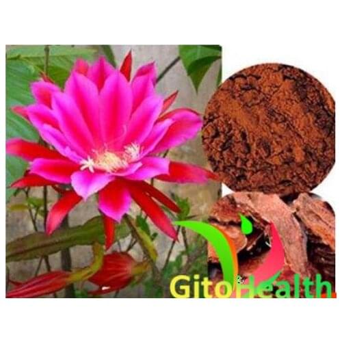 Organic rhodiola extract powder, Rhodiola / salidroside / Rhodiola, relieve stress and anxiety