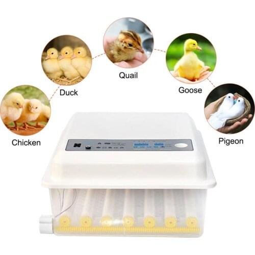Eggs Incubator 16 Eggs Digita Mini Automatie Incubatores with Turner for Hatching Goose Quail Chicken Eggs Egg Hatcher Machine