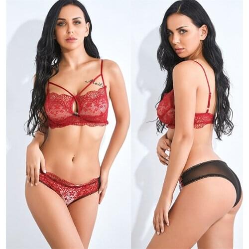 Sexy Backless Bra And Panty Set Lace Sheer Mesh Push Up Underwear Briefs Women Wireless Lingerie Sets sexi Intimates