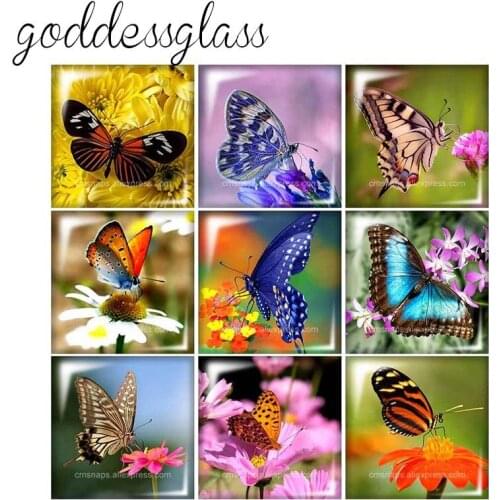 Beauty Lively Butterfly 10pcs mixed 12mm/20mm/25mm/30mm Square photo glass cabochon demo flat back Making findings FB0163