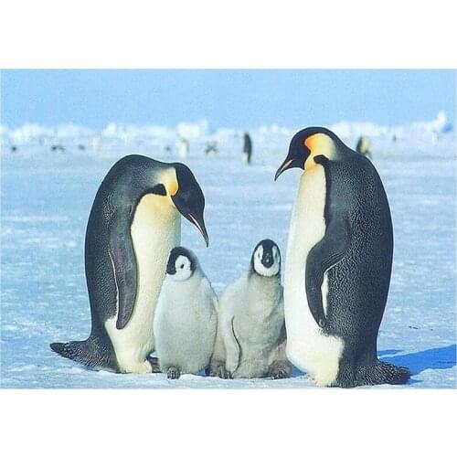 Diamond Painting Kits Full Drill Penguin DIY Rhinestone Crystal Embroidery Pictures Art Craft for Home Decor