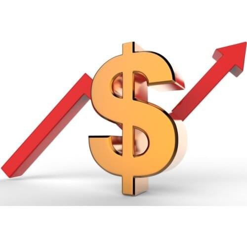 Extra Fee & Shipping Fee --Thanks