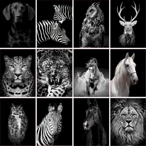 GATYZTORY Black And White Animal DIY Painting By Numbers HandPainted Oil Painting For Adults Kill Time Home Decor Accessories