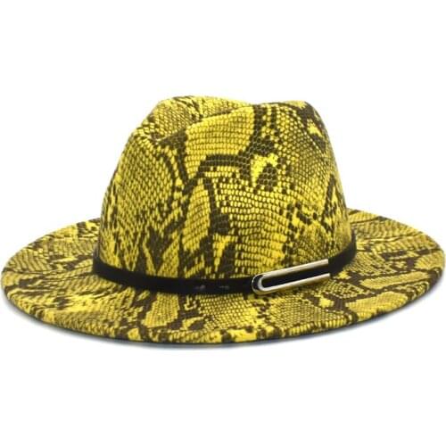 Autumn Winter Snake Pattern Jazz Fedora Hats Wool Felt Cap Wide Brim Chapeu Panama Hat For Men Women Hat F102