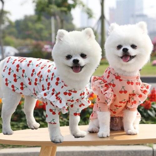 Summer And Autumn Pet Cherry Bottoming Shirt Dog Clothes Print Short Sleeve Cat Blouse For Small And Medium Sized Dog
