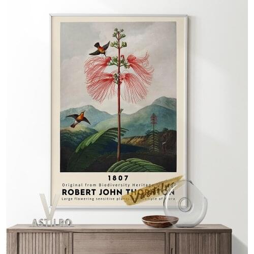 Robert John Thornton Vintage Prints Art Poster Flowering Sensitive Plant Canvas Painting Temple Of Flora Illustration Home Decor