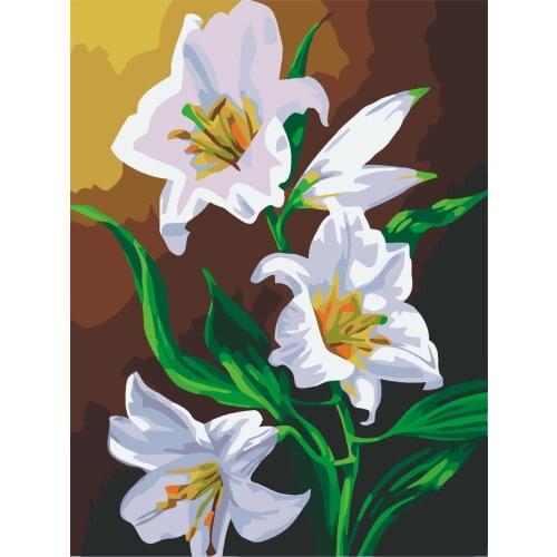 Platonic Love Frameless Diy Oil Painting By Numbers Wolf Handpainted Gift Coloring By Numbers Animal Picture For Living Room