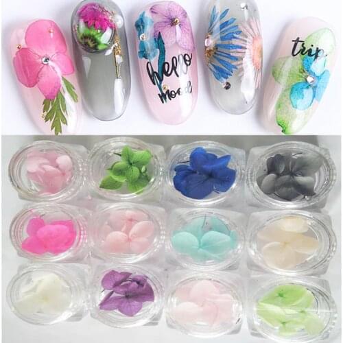 1 Set Nail Art Dried flower -Nail Japanese Style Plant dried flowers/12 Color boxed nails DIY Decorations /3D decals##ZCF