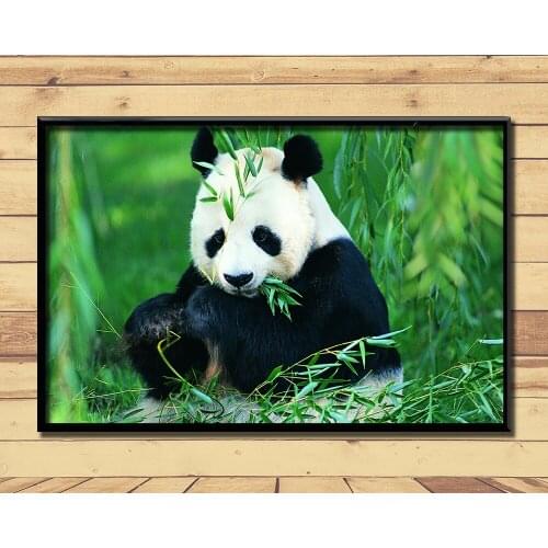 Giant Pandas Lovely And Valuable Animal (7) Wall Posters Prints Silk Art Painting For Home Wall Bedroom Decor