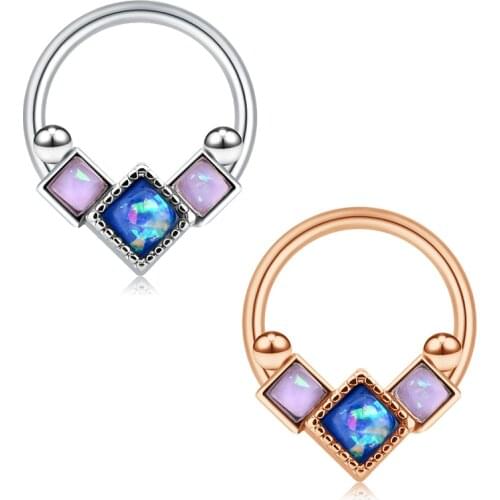 16G Flower Hinged Segment Rings Sparkling CZ Daith Tragus Earrings Lip Nose Hoop Septum Clicker Body Piericng