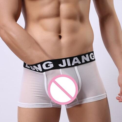 Vecileon Mens Sexy Panties Underwear Male Cool Mesh Big Bulge Pouch Boxer Shorts Underwear Gay Men Breathable Underpants