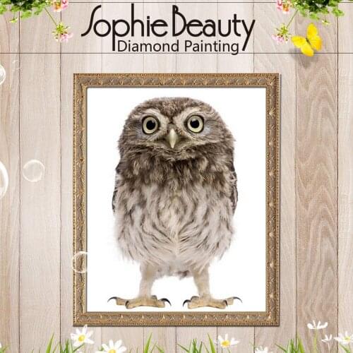 Sophie Beauty 3D Diy Diamond Painting Cross Stitch Pattern Beaded Embroidery Owl Mosaic Set Resin Full Drill Home Decor Art Kits