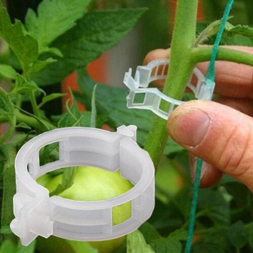 50/100pcs 25mm Reusable Plastic Plant Support Clips clamps For Plants Hanging Vine Garden Greenhouse Vegetables Tomatoes Clips
