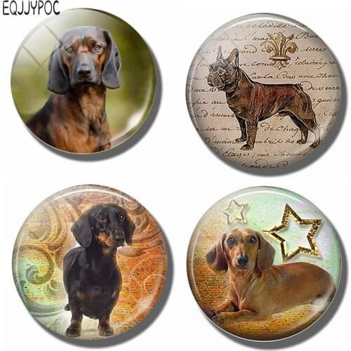Dachshund 30 MM Fridge Magnet Lovely Puppy Glass Cabochon Magnetic Refrigerator Stickers Note Holder Home Decor Dog Owners Gift