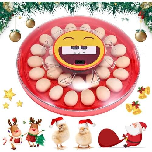 Home Hatchery Automatic Egg Incubators 30 Eggs Spare Parts For Incubator Automatically Turning Farm Chicken Brooder Machine New