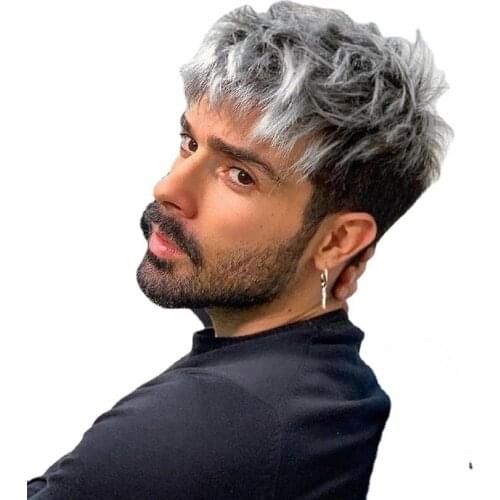 Louise Hair Short Pixie Cut Layered Straight for Male Silver Gray Wigfor Man Natural And Fashion